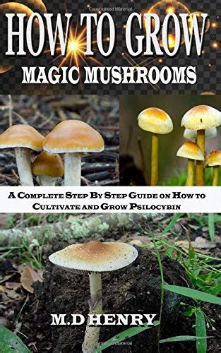 Exploring Different Magic Mushroom Strains for Grow Kits